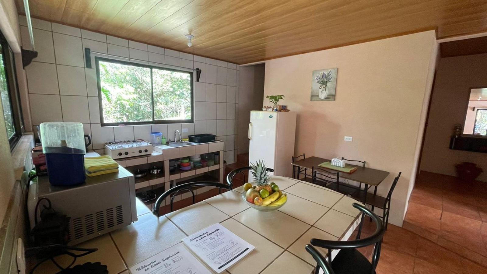 Casa Euphonia モンテベルデ エクステリア 写真